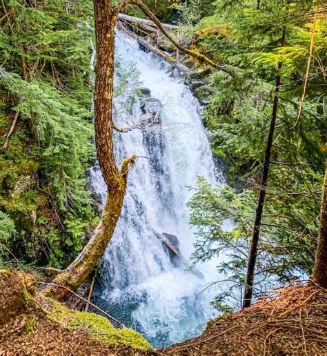 carter and madcap falls|carter falls mount rainier.